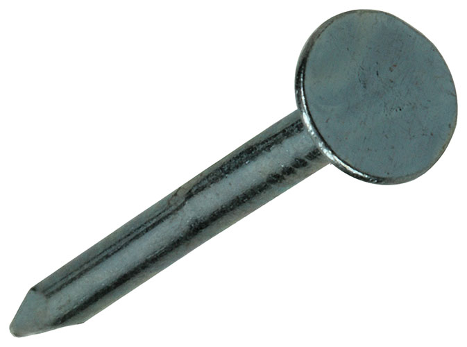 Plafondnagels Verzinkt 2,0x25mm