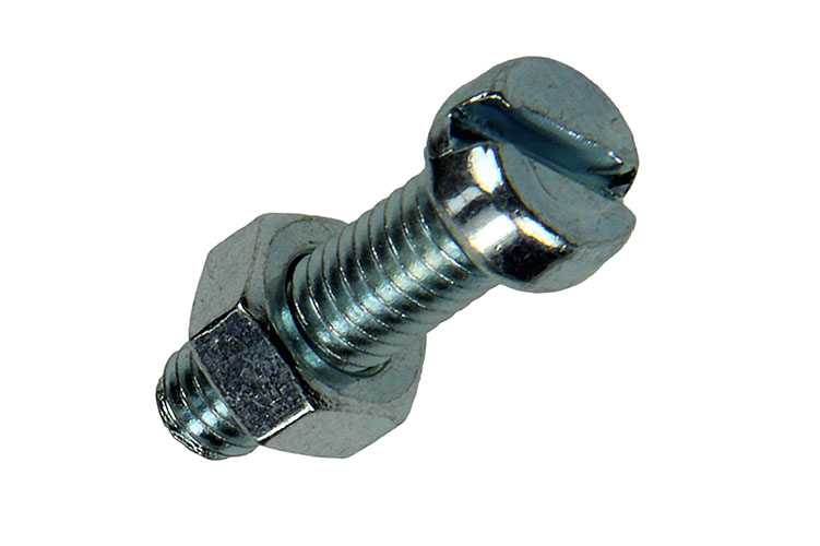 Metaalschroeven Cyl. Kop+moer Verz. M6x20mm - 10st