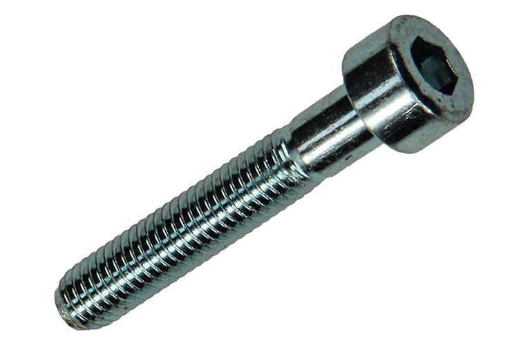 Binnenzeskant Bouten Cyl. Kop Verzinkt M5x30mm - 8st