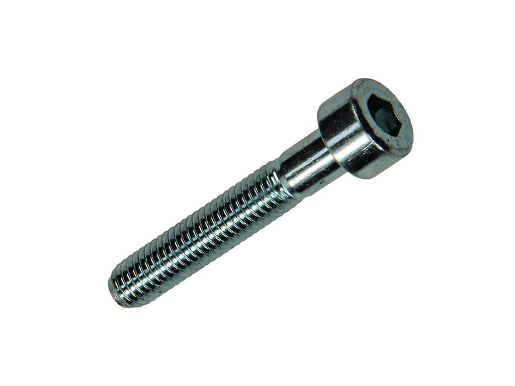 BINNENZESKANT BOUTEN CYL. KOP VERZINKT M5X30MM - 8ST