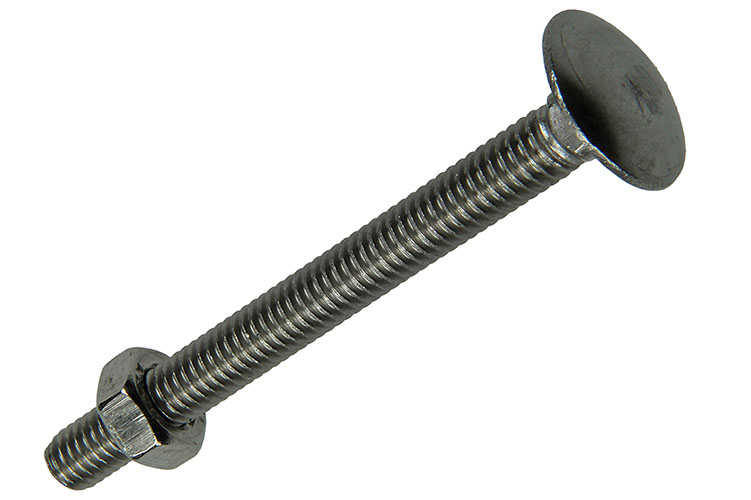 Houtbouten+moeren Roestvrijstaal M6x60mm - 2st